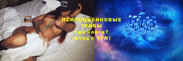 Альфа ПВП Каменка