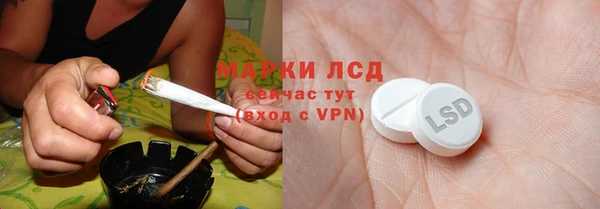 скорость Каменногорск