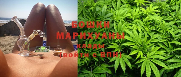 ешки Алексин