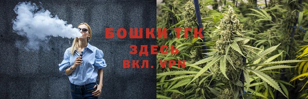 ешки Алексин